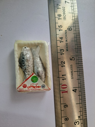 ماهی مینیاتوری🦈🐟